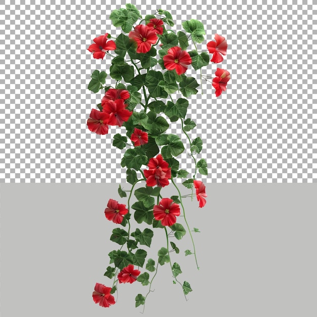 Hibiscus Flowers Hanging on Transparent background Ai Generated