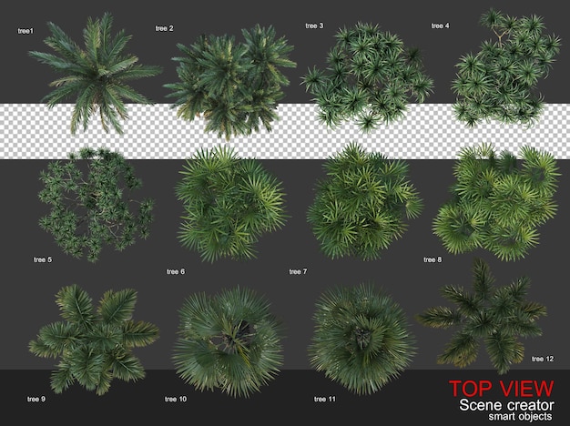 PSD high angle camera trees and shrubs