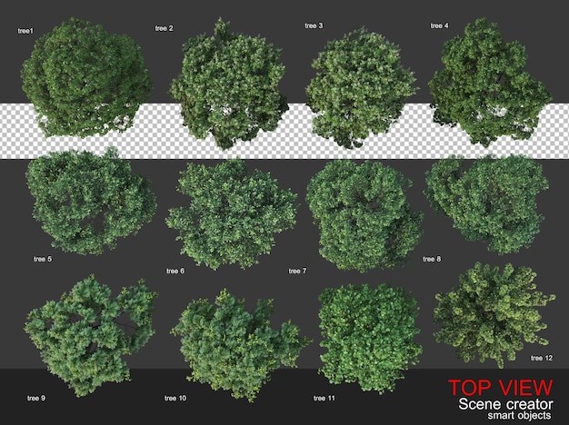 PSD high angle camera trees and shrubs