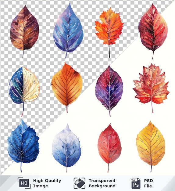 High quality transparent psd set of watercolor autumn leaves png clipart in red orange brown and