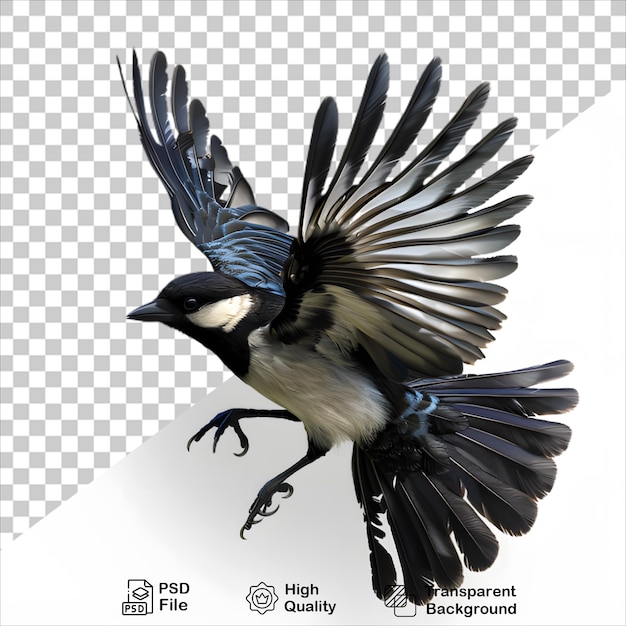 HighResolution Bird Flying Transparent Background Isolated