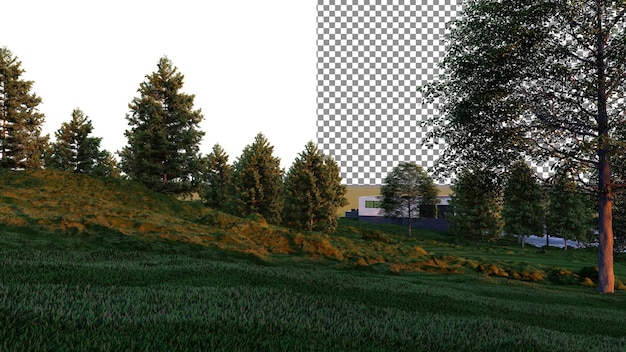 Hill grass and pine trees PNG transparent backdrop 3D rendering