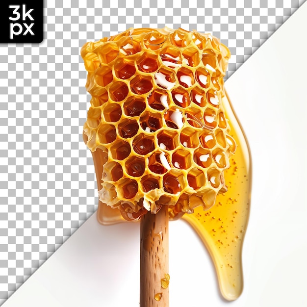 a honeycomb with a honeycomb on it