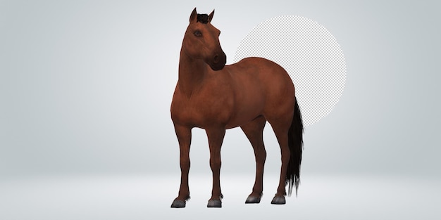 Horse isolated on a Transparent Background