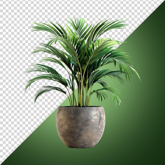 Houseplant in pot cutout png