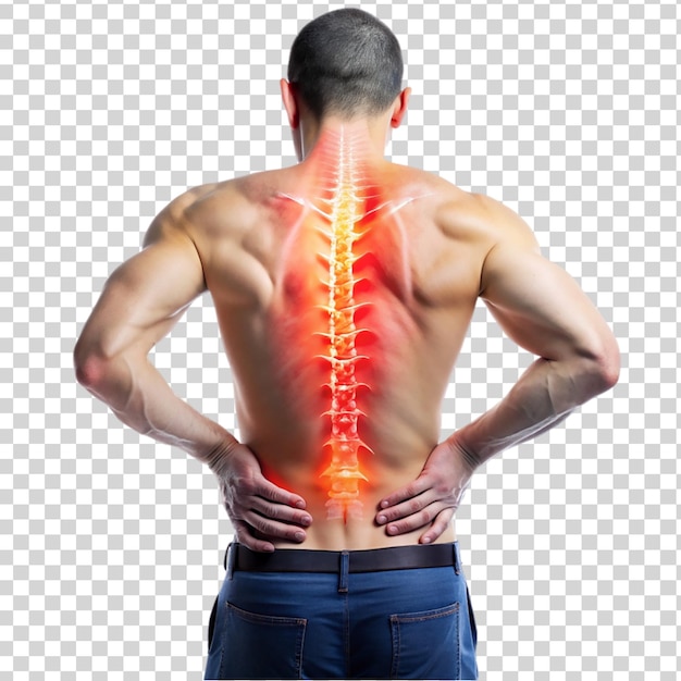 Human body rheumatism problems in lumbar region transparent background