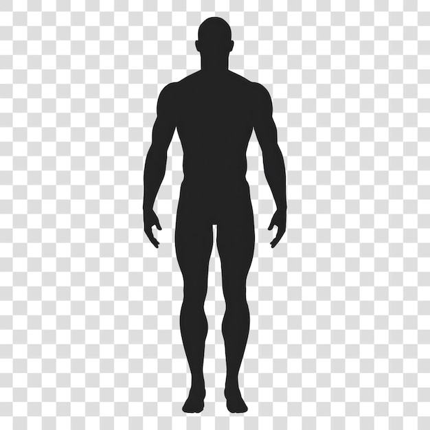 PSD human body silhouette person adult male