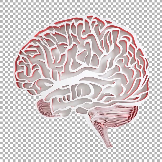 PSD human brain made of paper or papercut on transparent background ai generated