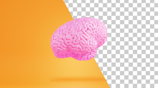 Human brain minimalistic design Brain fly in the air 3d Render Brainstorming imagination