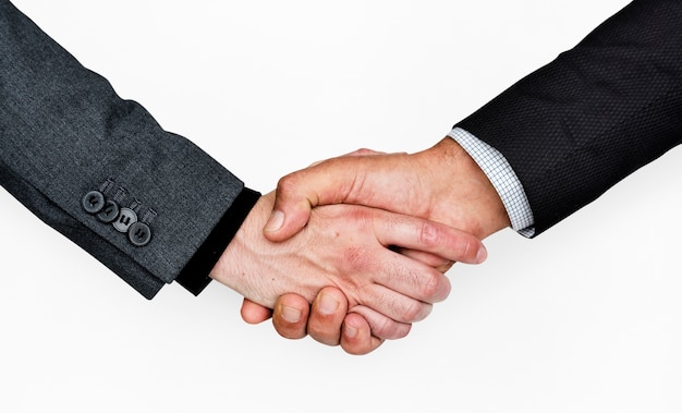 Human Hands Handshake Business Corporate Concept