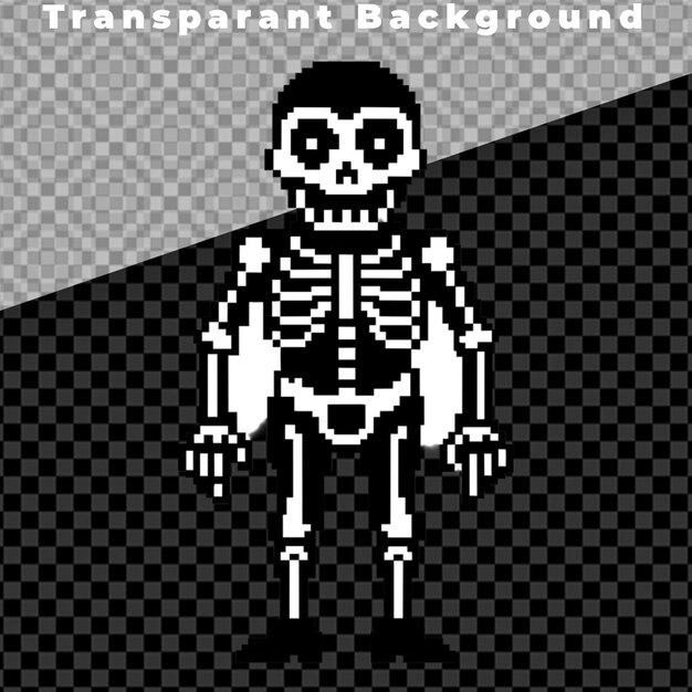 Human Skeleton Transparent Set