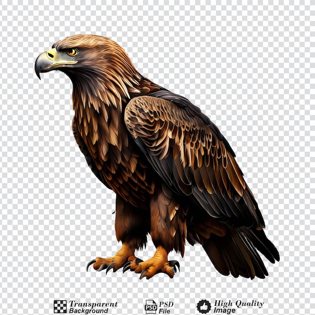 hunting eagle isolated on transparent background