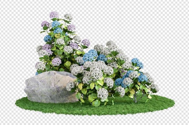 Hydrangea tree and grass of various shapes