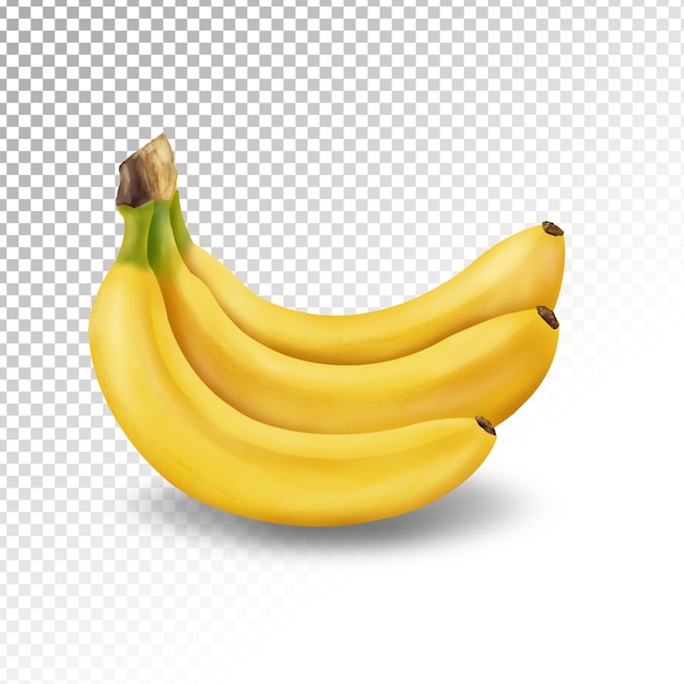 Illustration of Banana transparent isolated