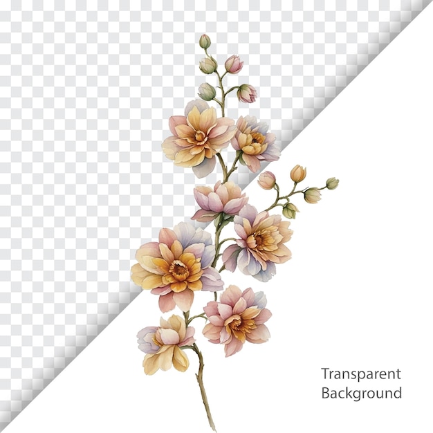 illustration of flower transparent background