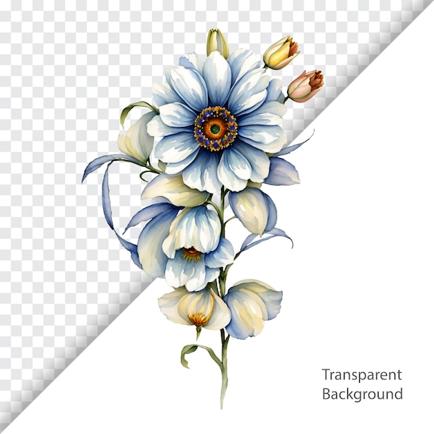 illustration of flowers transparent background