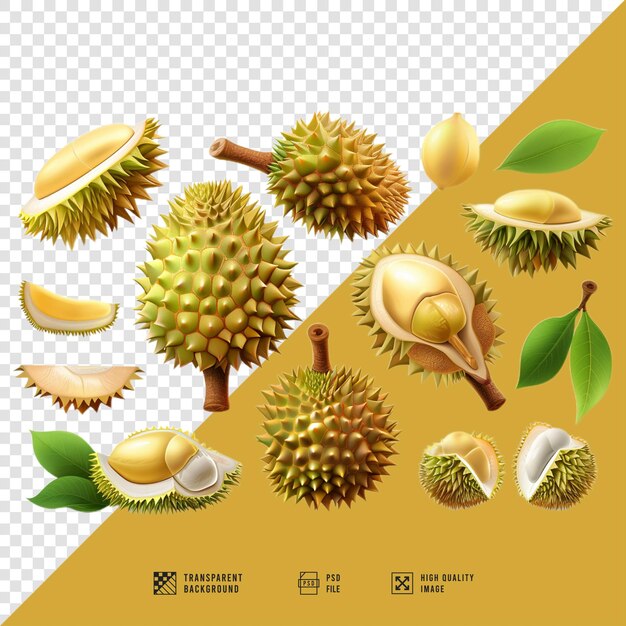 PSD image of a collection of durian fruit without hd quality background