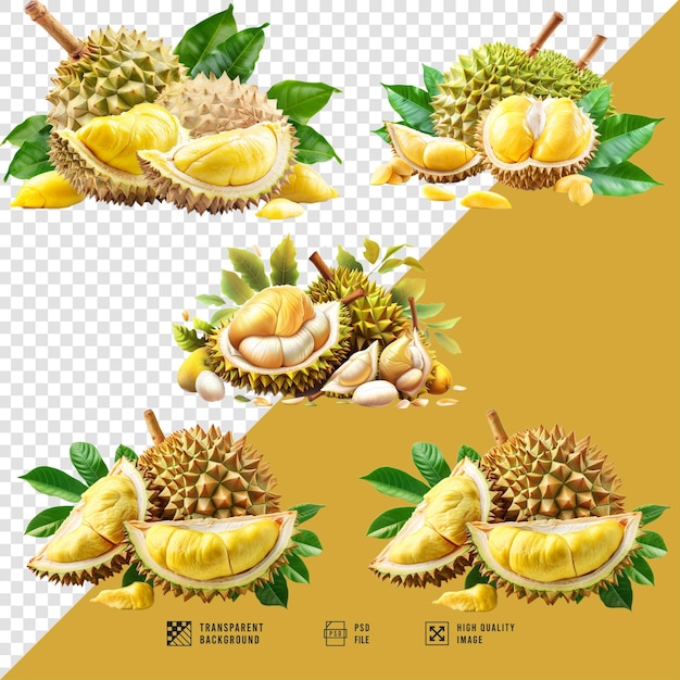 PSD image of a collection of durian fruit without hd quality background