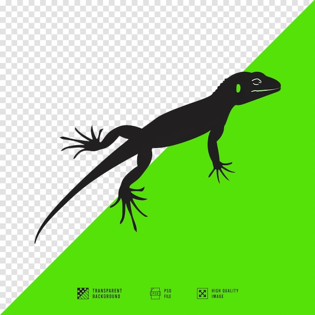 PSD image of lizard silhouette icon without background in hd quality