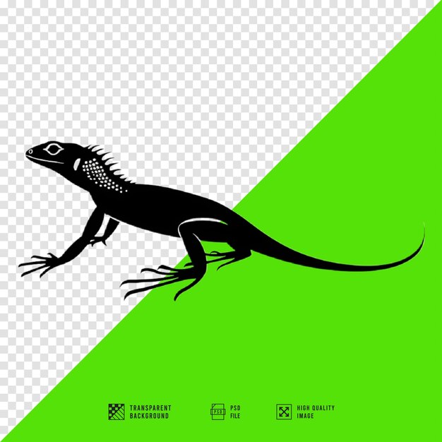 PSD image of lizard silhouette icon without background in hd quality