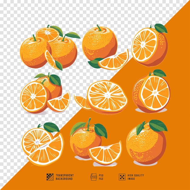 image set of orange fruit bundle without background hd quality