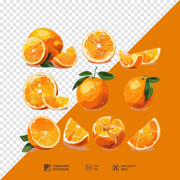 image set of orange fruit bundle without background hd quality