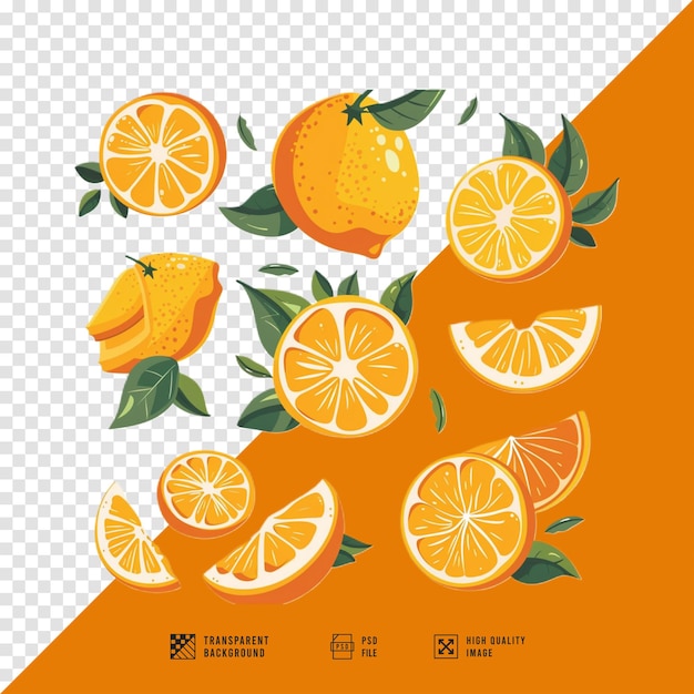 image set of orange fruit bundle without background hd quality