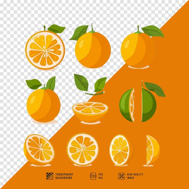 image set of orange fruit bundle without background hd quality