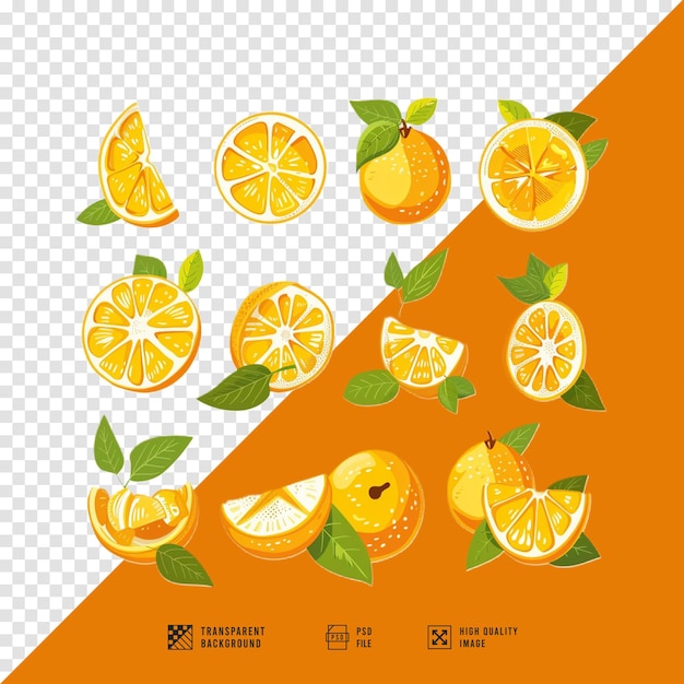 image set of orange fruit bundle without background hd quality