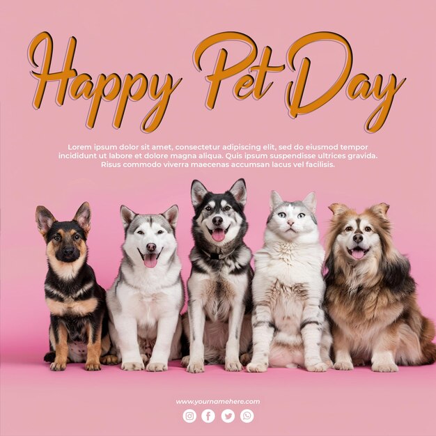 Image with several pets sitting and looking forward pet day concept