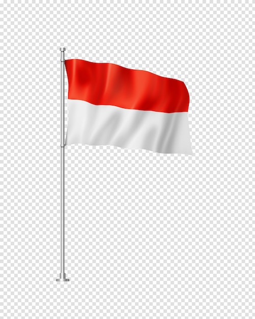 Indonesian flag isolated on white