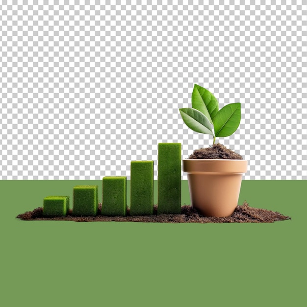 indoor plant png