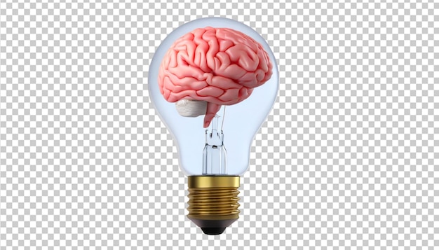 Inside Brain Transparent 3D Rendered Light Bulb