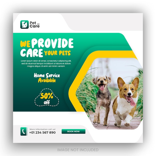 Instagram posts collection for pet care service