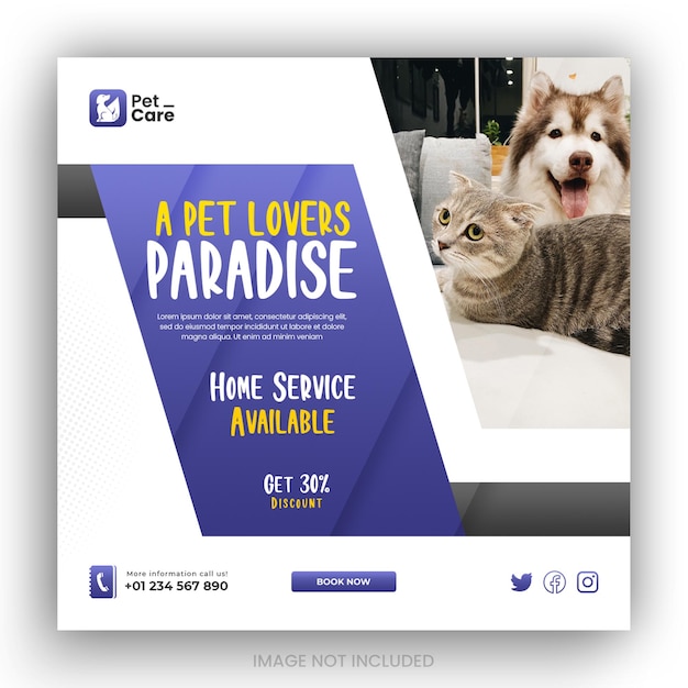 Instagram posts collection for pet care service