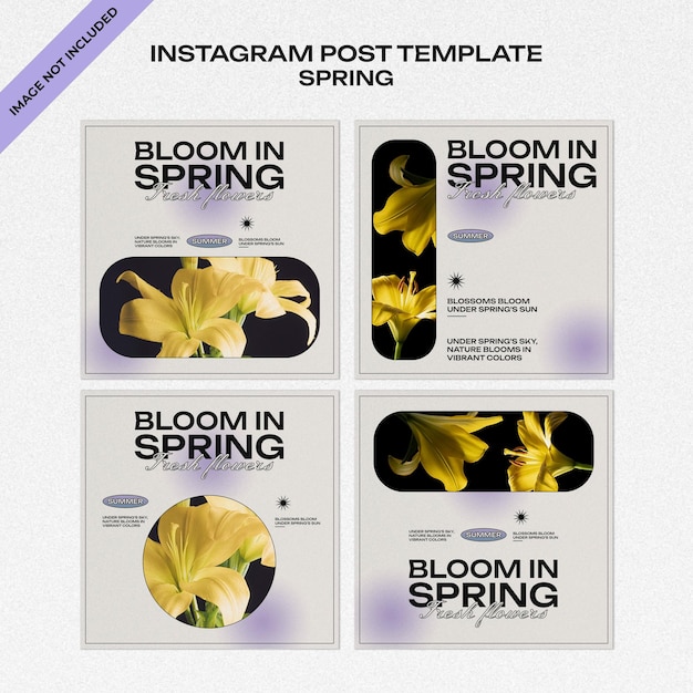 Instagram posts collection for springtime with flowers