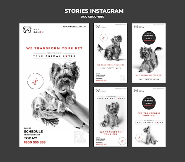 PSD instagram stories collection for pet grooming company