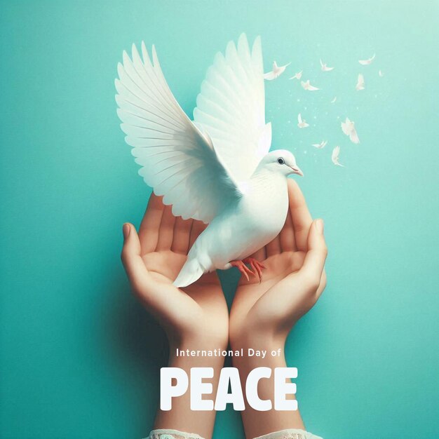 International Day of Peace Social Media PSD Banner