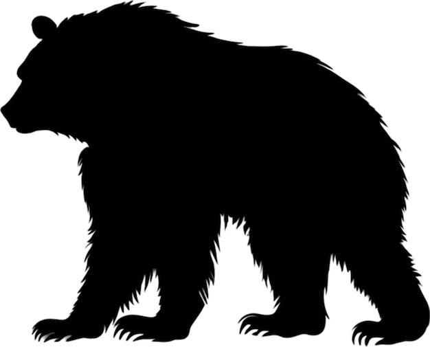 Intricate bear stencil for creative wildlife art and craft projects