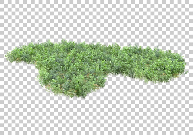 Island of grass on transparent background 3d rendering illustration