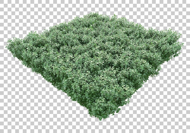 Island of grass on transparent background 3d rendering illustration