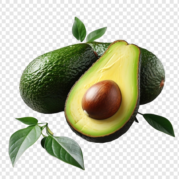 PSD isolate avocado style png with white background illustration generative ia