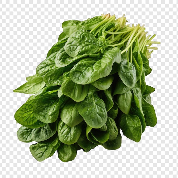 Isolate Spinach Style Png With White Background generative IA