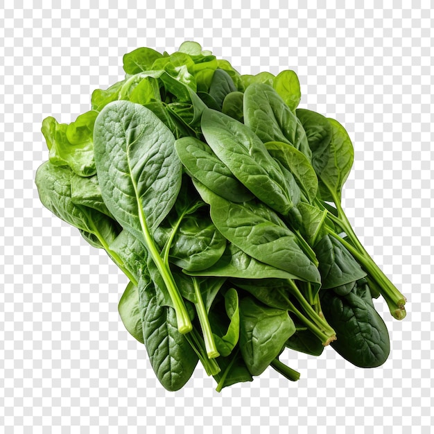 Isolate Spinach Style Png With White Background Minimalist generative IA