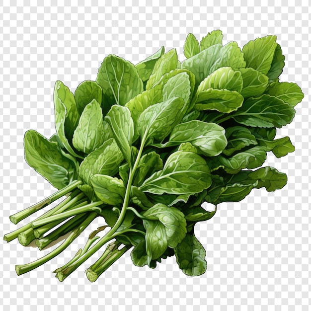 Isolated arugula style png with White background cartoon generative IA