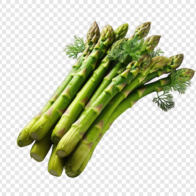 PSD isolated asparagos style png with white background cartoon generative ia