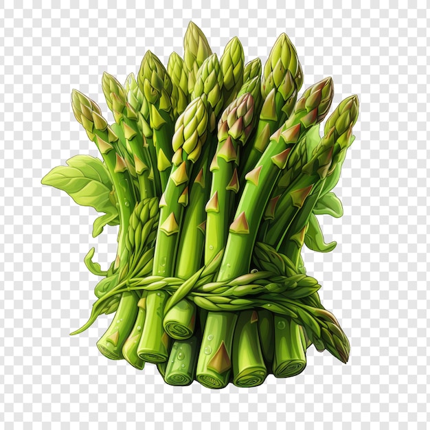 PSD isolated asparagos style png with white background generative ia