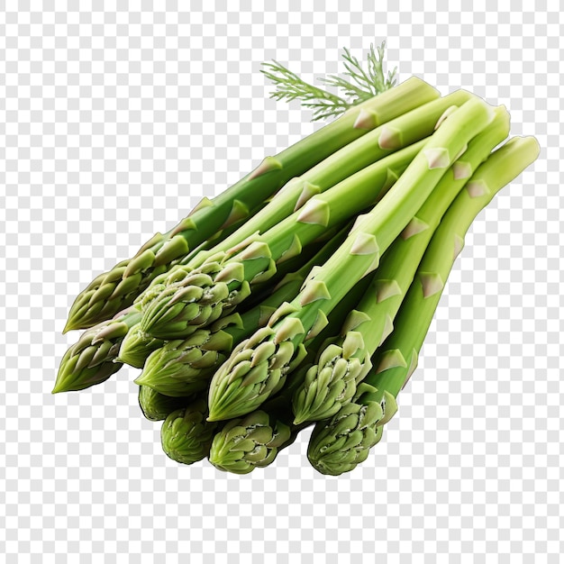 PSD isolated asparagos style png with white background generative ia