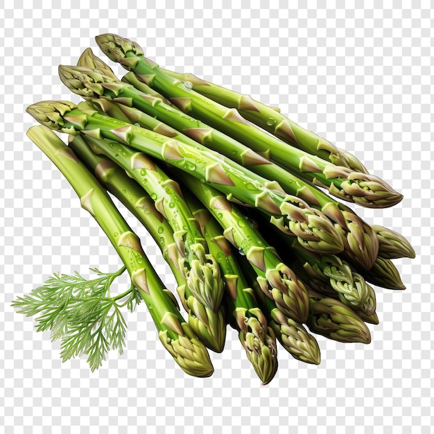 PSD isolated asparagos style png with white background generative ia