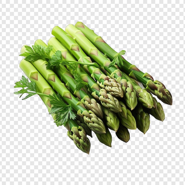 PSD isolated asparagos style png with white background generative ia